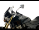 Ветровое стекло LOSTER для мотоцикла HONDA CB 600 F Hornet STANDARD 2005-2006